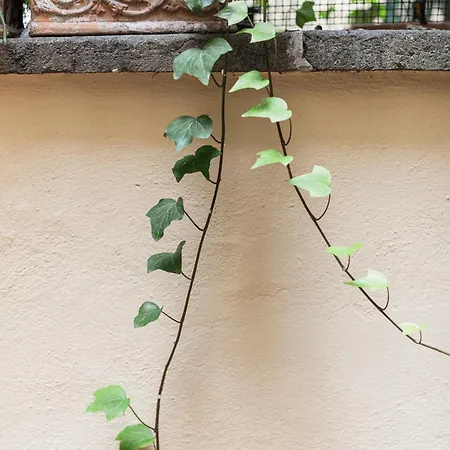 San Pietro Garden House アパート *